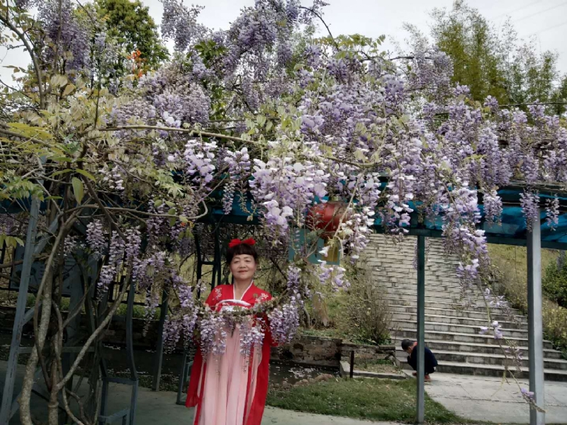 莉莉的第一张照片--武平婚介网